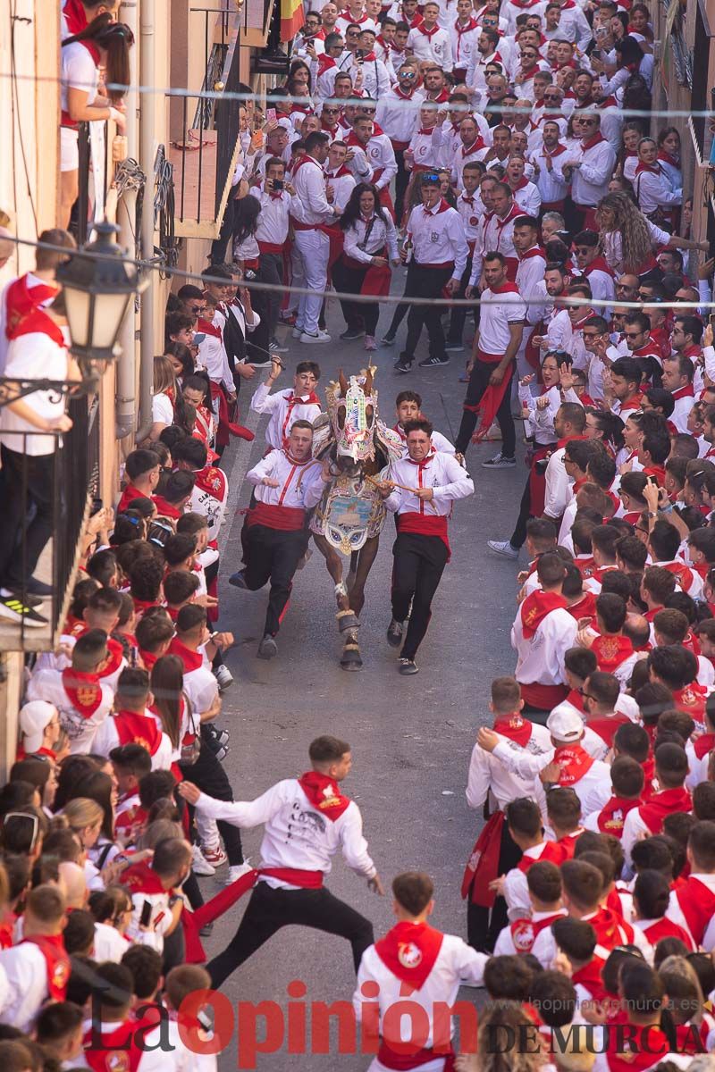 Caballos del Vino en la cuesta de la Simona