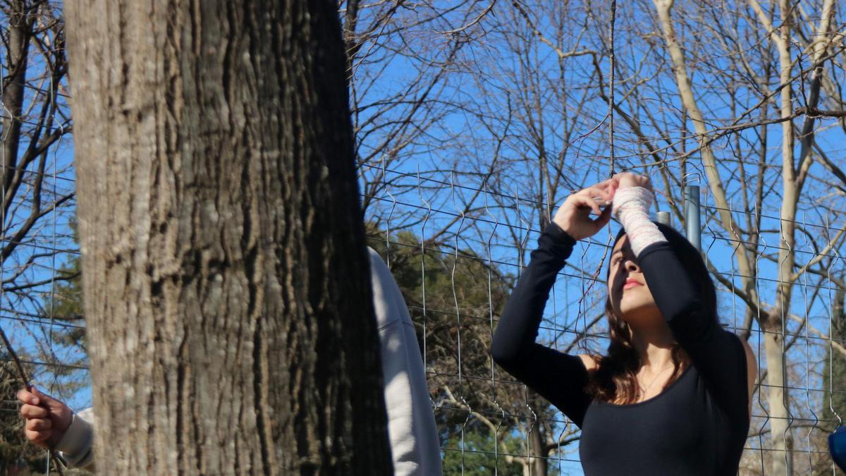 Una alumna de 2º de ESO en Viladecans mide un árbol con el móvil para saber la cantidad de dióxido de carbono en el marco de un estudio de la UPC.