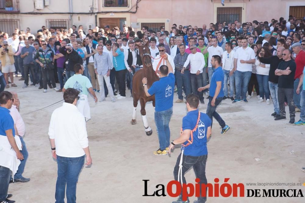 Día uno de mayo, entrada de caballos al Hoyo