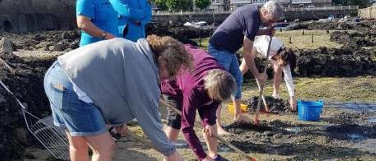 Un reciente taller de marisqueo de Amarcarril.  | // FDV