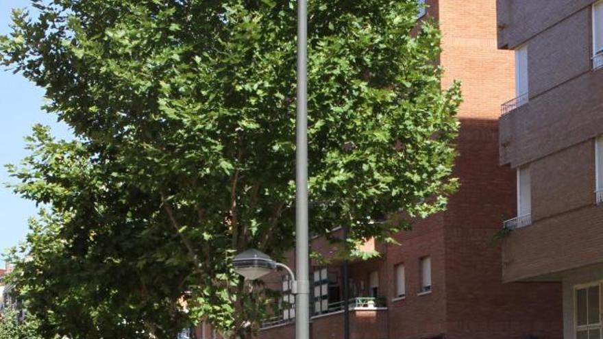 Obras en la calle Candelaria Ruiz del Árbol para arreglar la avería.