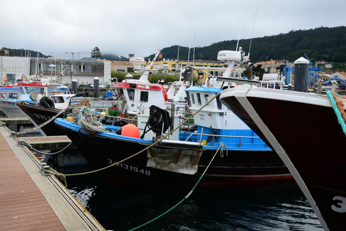 Pesqueros en el puerto de Bueu.