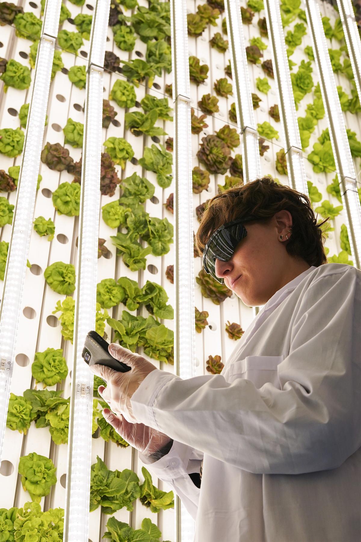 Trabajadora en la planta de Groots.