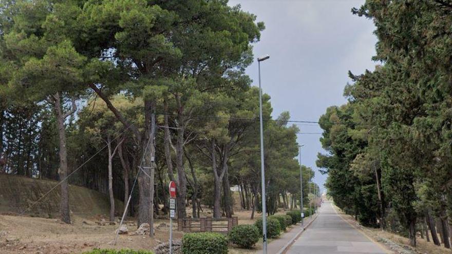 La pineda de la pujada del Castell on es fa la prova pilot.