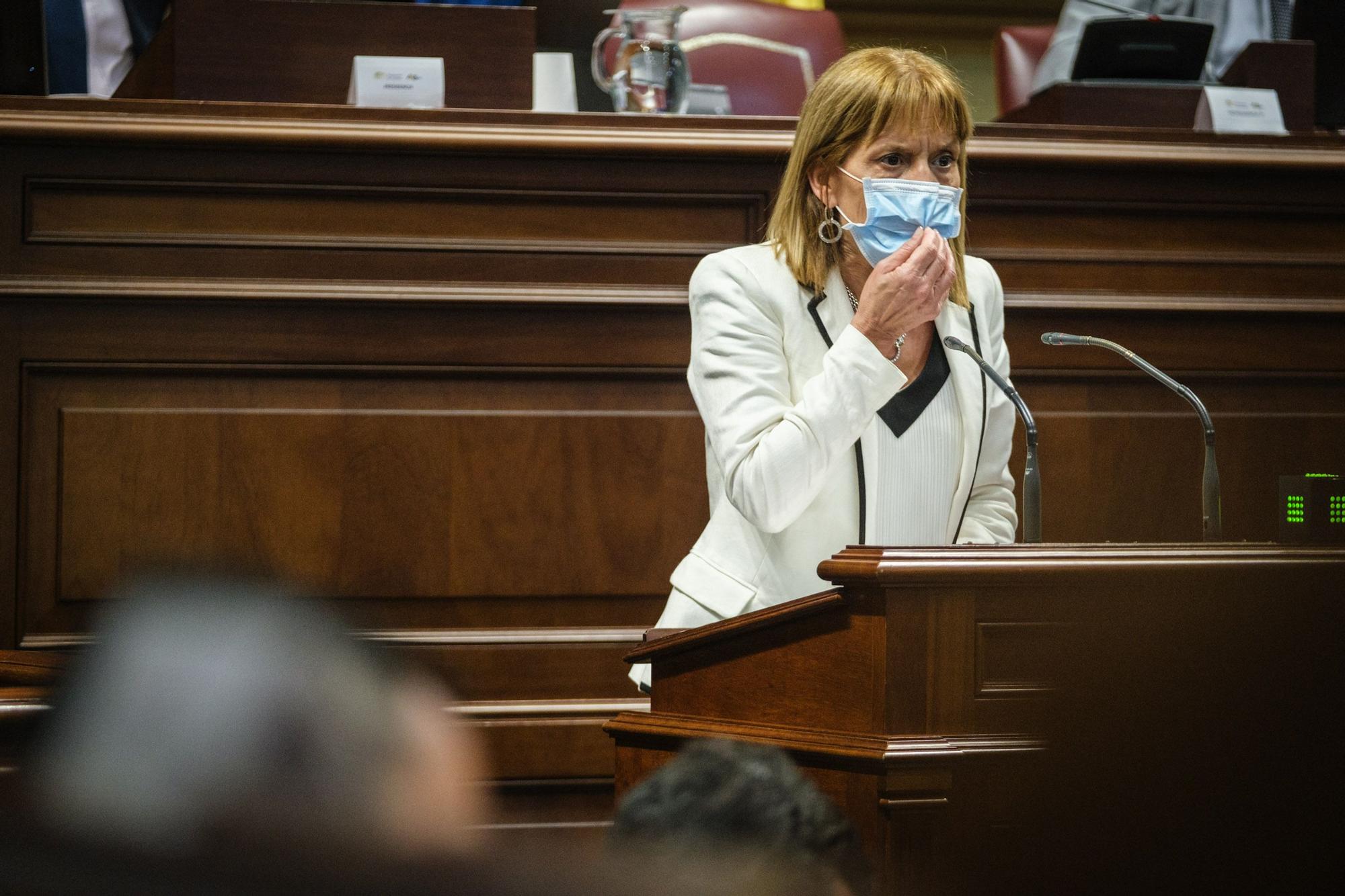 Pleno Extraordinario del Parlamento de Canarias