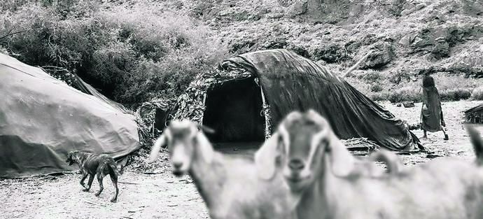 La Isla de los canarios | Siglo VI: una odisea del Atlántico