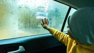 Cómo bajar la ventanilla del coche sin romperla ante una situación de peligro con niños o mascotas