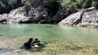 La Generalitat engega un pla pioner per restaurar els ecosistemes marins de tot el litoral català amb l'horitzó 2030