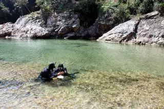 Les imatges de projecte de restauració d'ecosistemes marins
