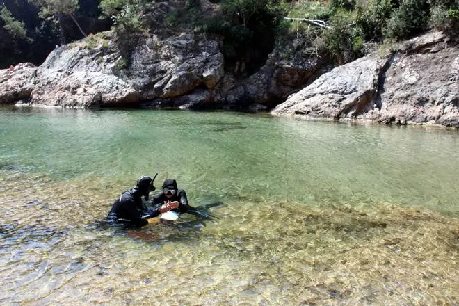 Les imatges de projecte de restauració d'ecosistemes marins