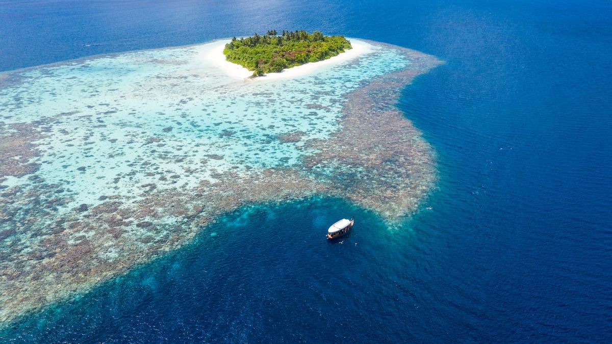 Algunas cosas que puedes hacer en las Maldivas