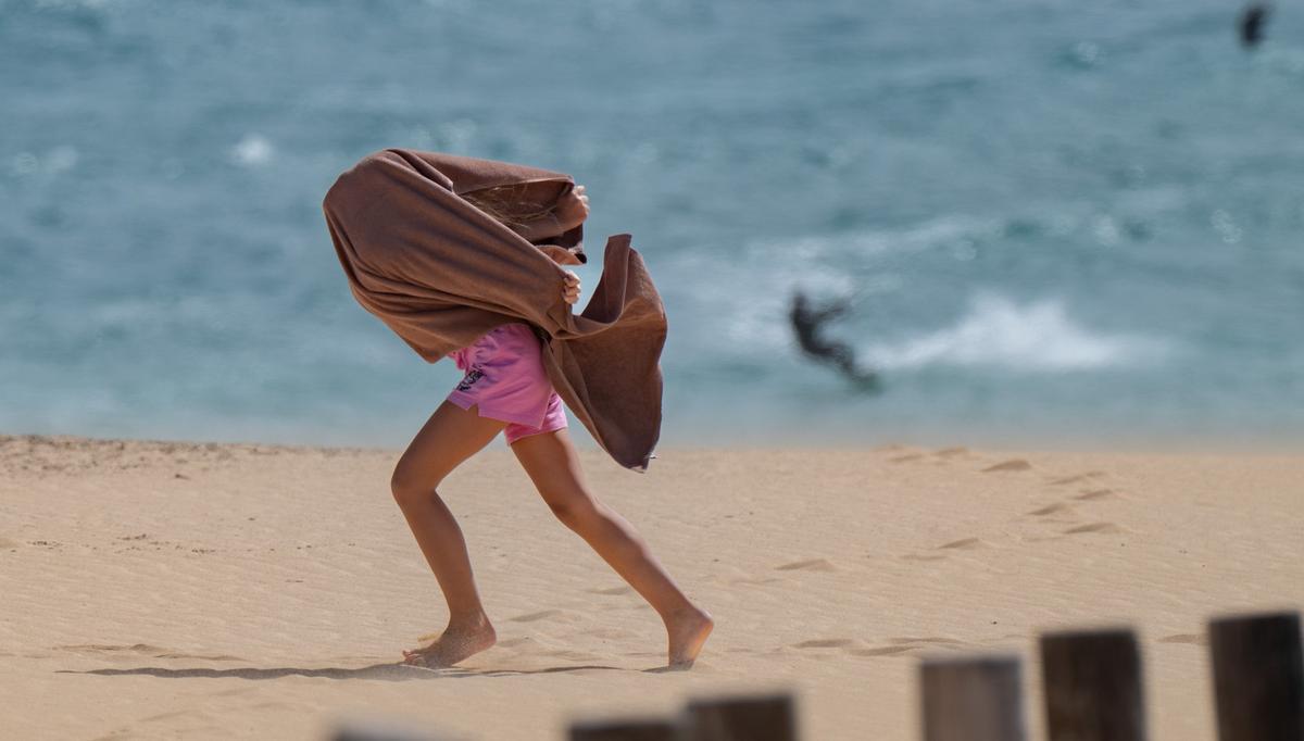 La Aemet activa el aviso amarillo por viento en varias jornadas consecutivas en la Comunitat Valenciana: rachas de más de 80 km/h.
