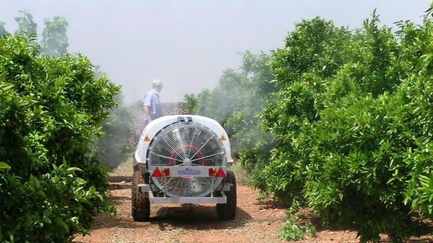 Tratamiento con fitosanitarios en un campo de naranjas.