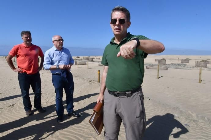 13/05/2019 MASPALOMAS. SAN BARTOLOME DE TIRAJANA. El presiddente del Cabildo de Gran Canria, Antonio Morales, y el consejero de Medio Ambiente y Emergencias, Miguel Ángel Rodríguez, informan del inicio de la segunda fase del proyecto para la recuperación de las dunas de Maspalomas, Masdunas, pionero en el mundo por sus carcterísticas .    Fotógrafa: YAIZA SOCORRO.  | 13/05/2019 | Fotógrafo: Yaiza Socorro