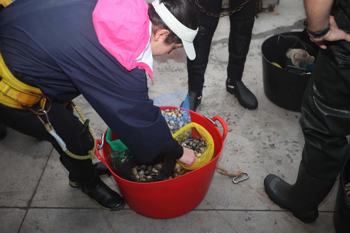 Los mariscadores a pie de la ría de O Burgo vuelven a faenar tras casi cuatro años de espera Los mariscadores a pie de la ría de O Burgo vuelven a faenar tras casi cuatro años de espera