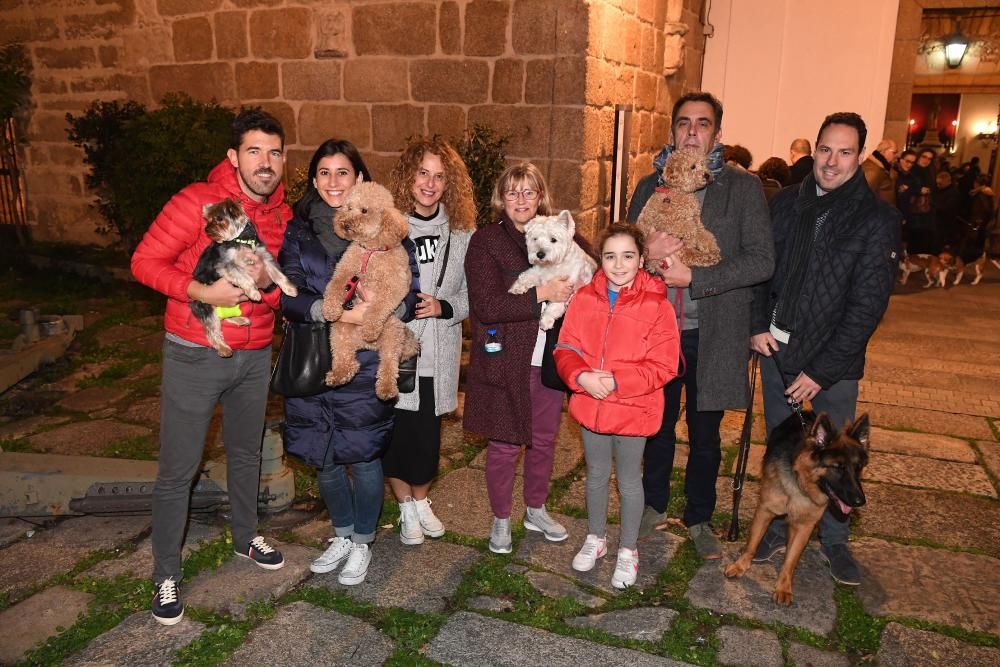 Bendición de mascotas en A Coruña