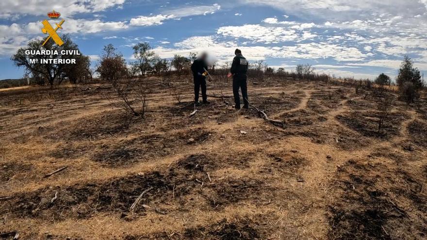 Agentes de la Guardia Civil investigan sobre el terreno quemado.