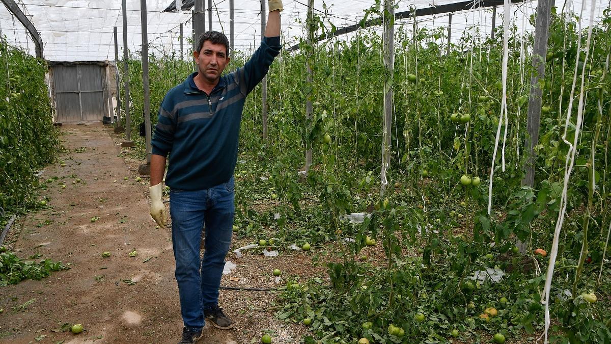 Un agricultor observa el estado en el que ha quedado su invernadero tras el paso de la DANA por Almería.