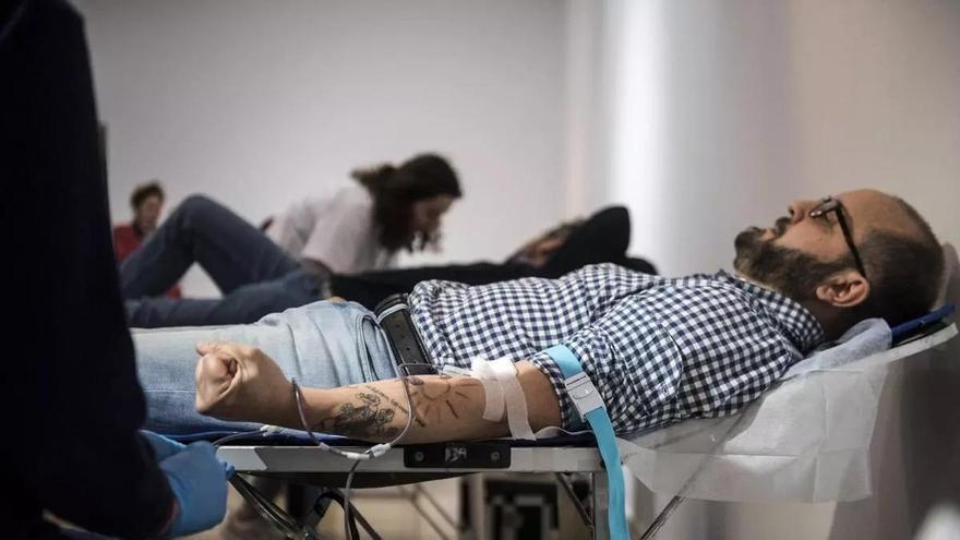 El viaje de una bolsa de sangre por Extremadura: más de mil kilómetros al día para que ningún hospital se quede sin reservas