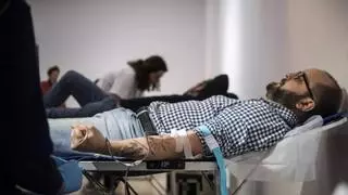 El viaje de una bolsa de sangre por Extremadura: más de mil kilómetros al día para que ningún hospital se quede sin reservas