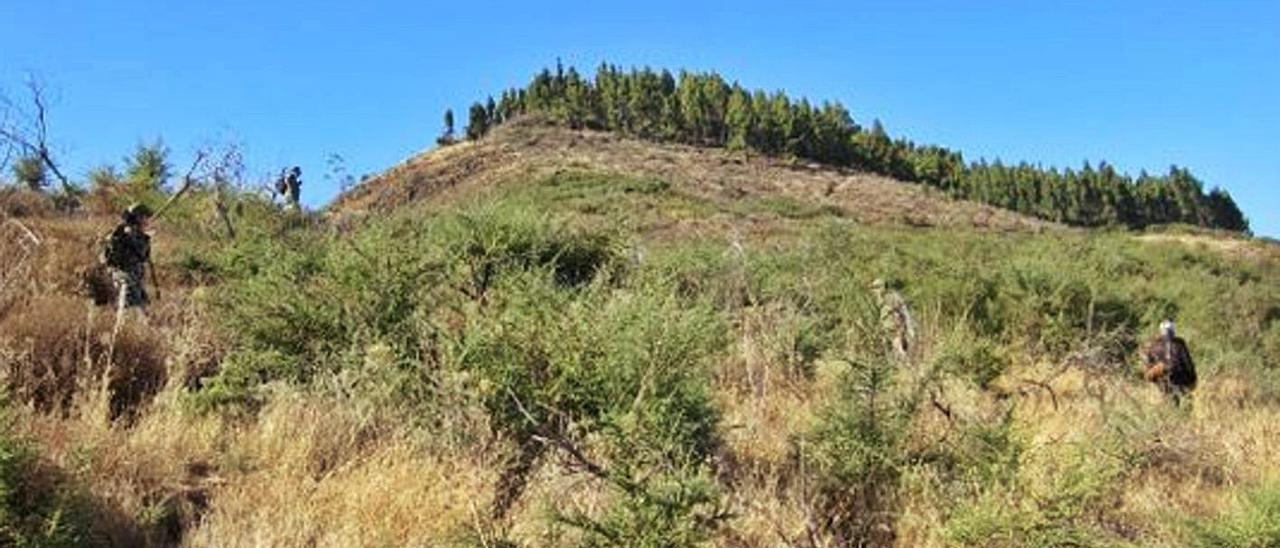 Cazadores en los terrenos de El Solís, en el municipio de San Mateo. | | LP/DLP