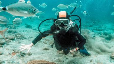 10 lugares excepcionales para practicar buceo