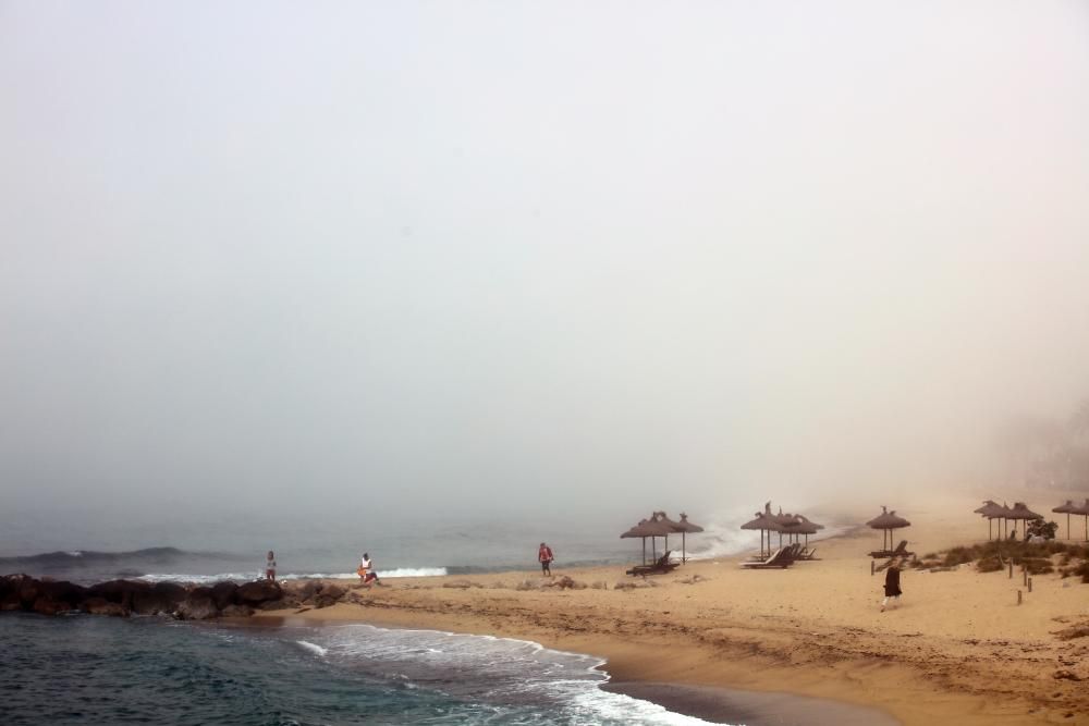 Palma amanece cubierta por la niebla