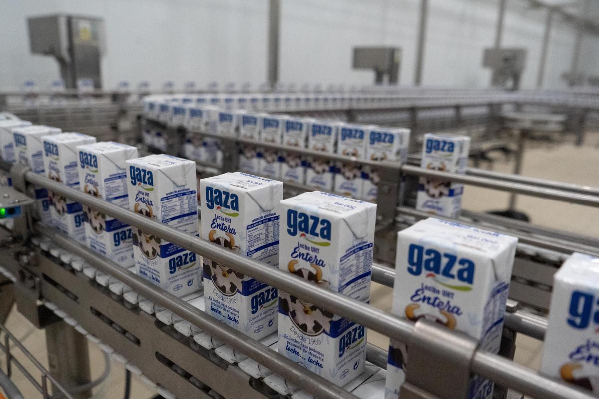 Envasado de leche en la fábrica de Gaza en Coreses
