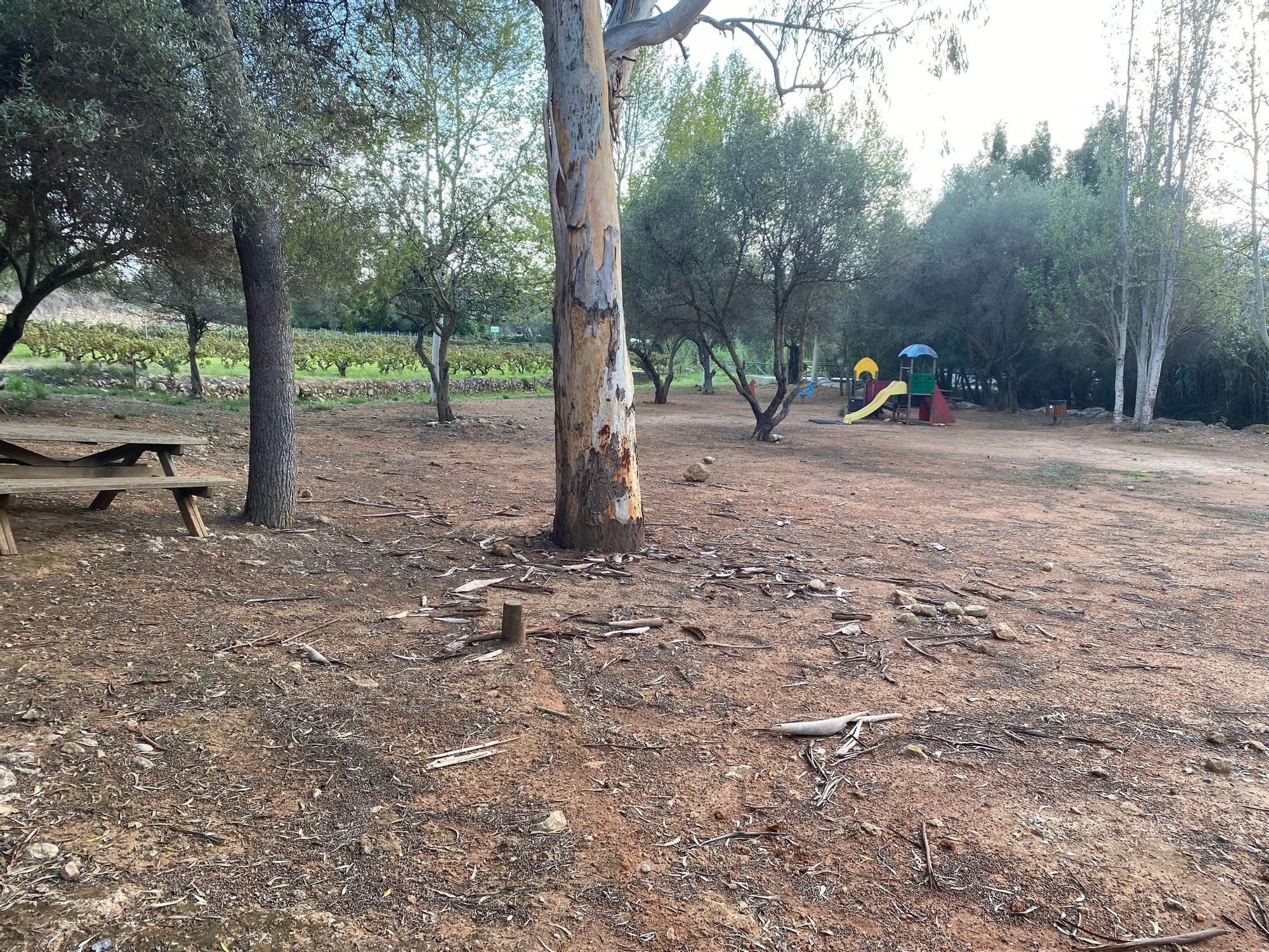 Los parques de Xàbia: abandono, deterioro y riesgo para los niños (imágenes)