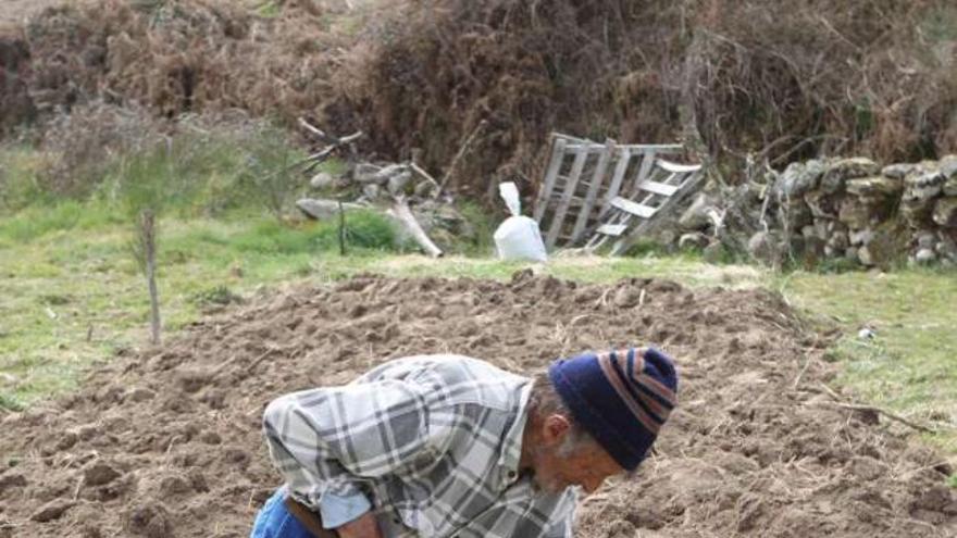 Un agricultor, en plena faena.  // Iñaki Osorio