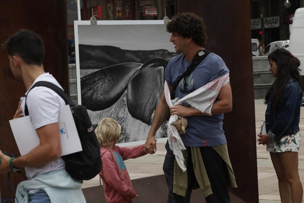 Exposición de Salgado en el Náutico