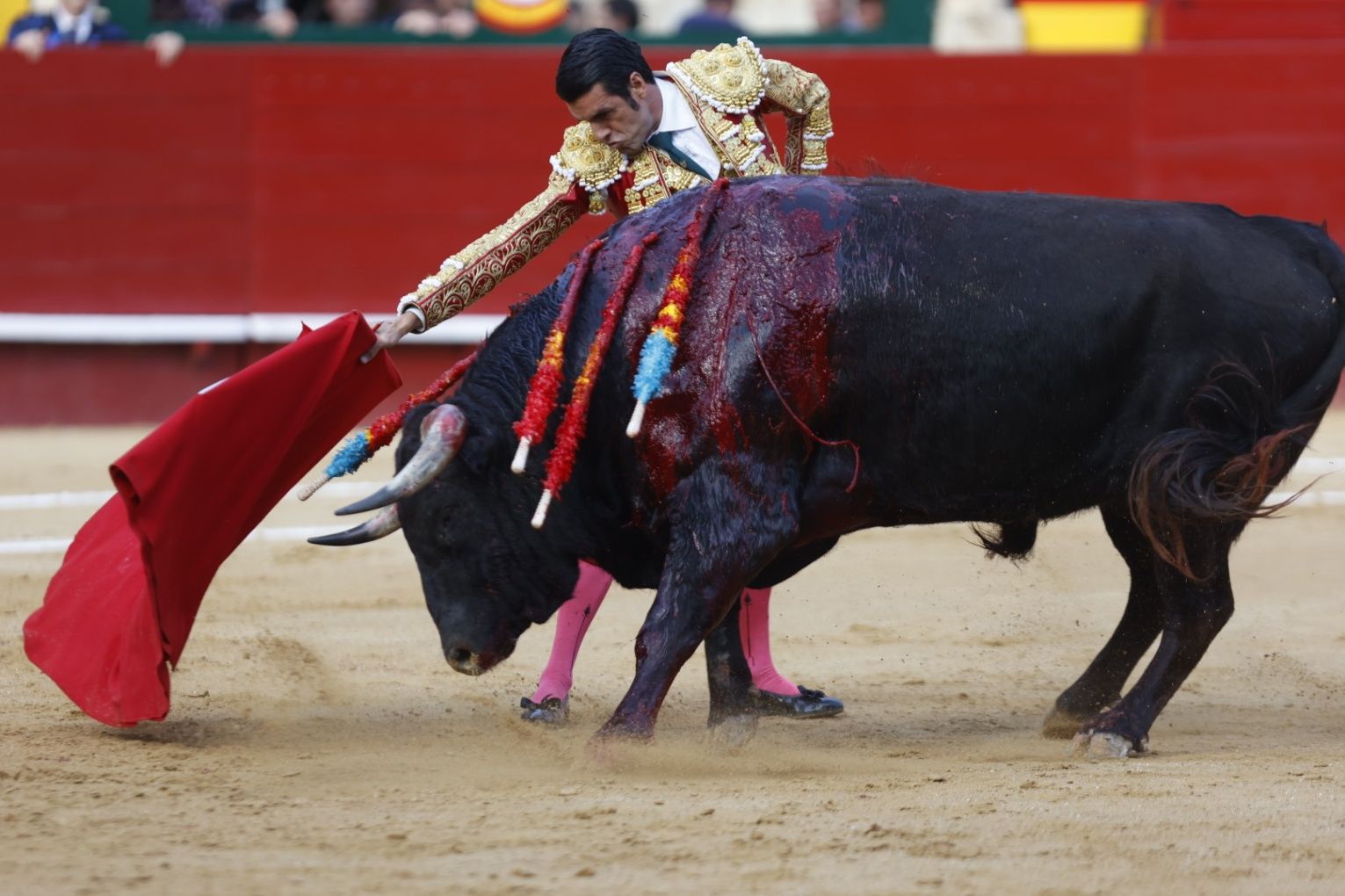 La puerta grande de Roca Rey en la Feria de Fallas 2023, en imágenes