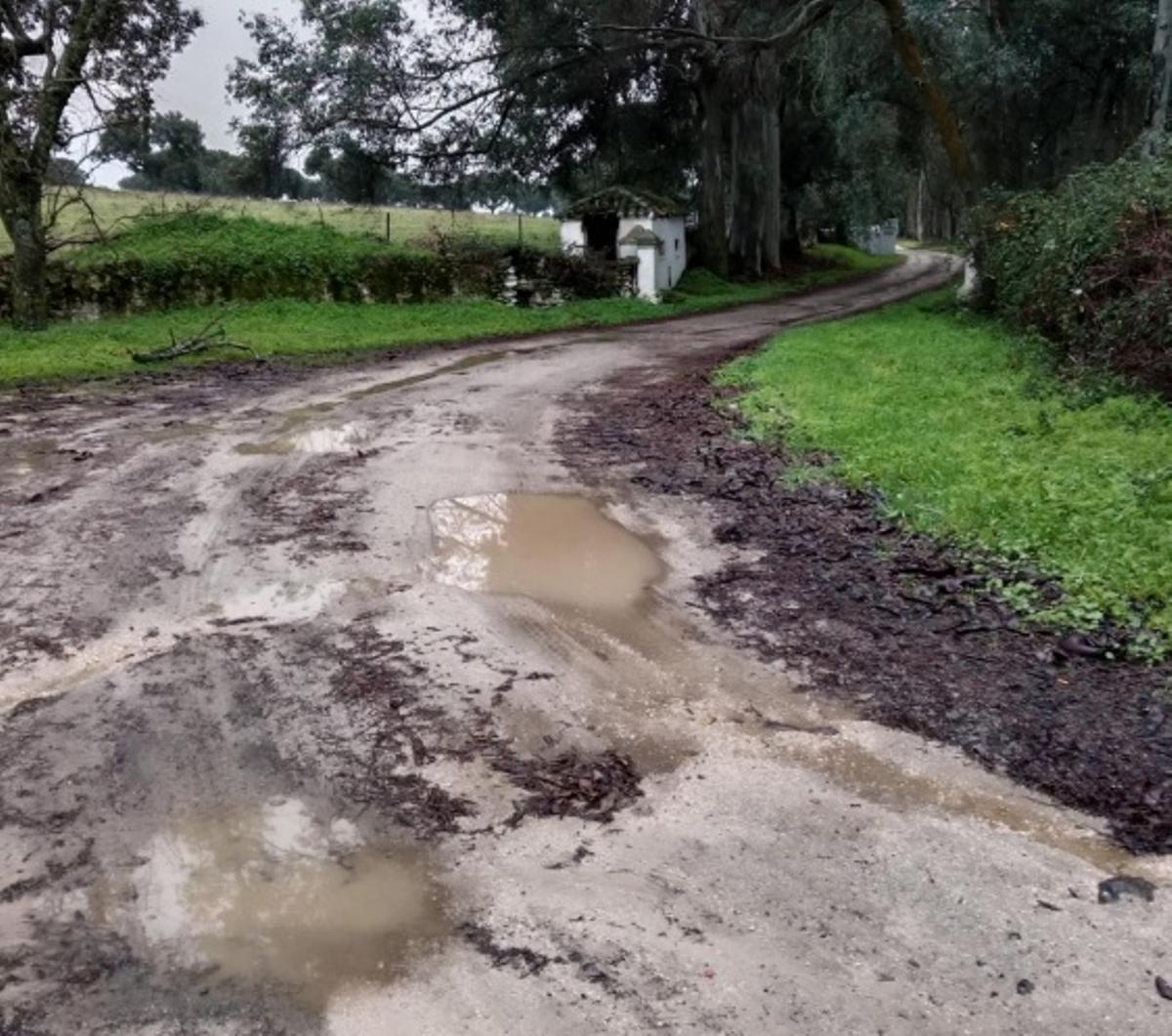 Camino a El Vaqueril.