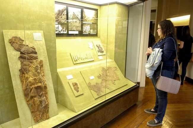 Día Internacional de los Museos en Triana y Vegueta.