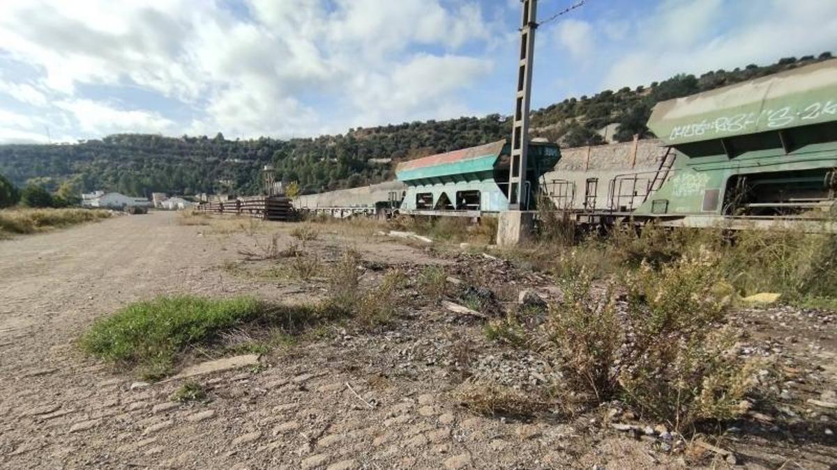 Terrenys de l'antiga estació de mercaderies, on es projecta el taller de manteniment