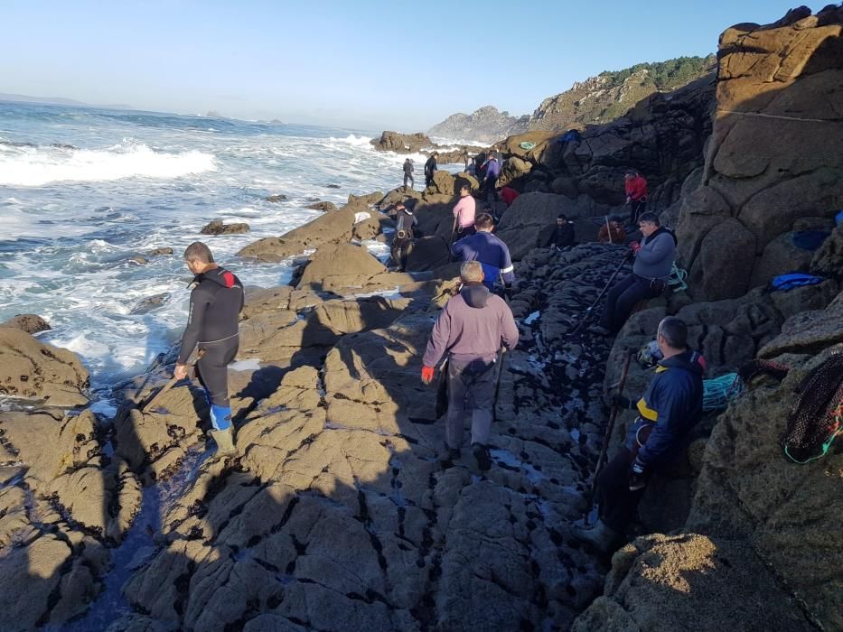 Los percebeiros, esta mañana en A Costa da Vela