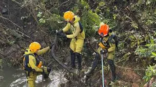 La búsqueda de la mujer que cayó al río en San Martín llega ya hasta Priañes por el Nalón: "Está bajando el caudal y llegamos a más zonas"