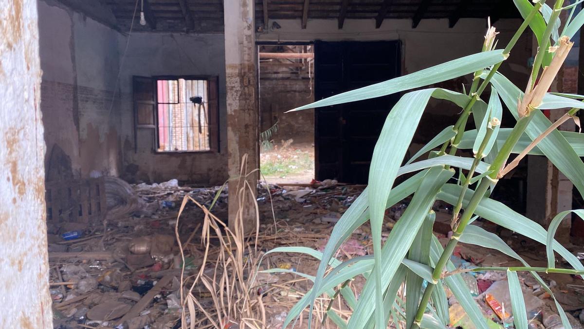 Miles de personas pasan todos los días frente a esta vivienda deteriorada en la que ha crecido vegetación.