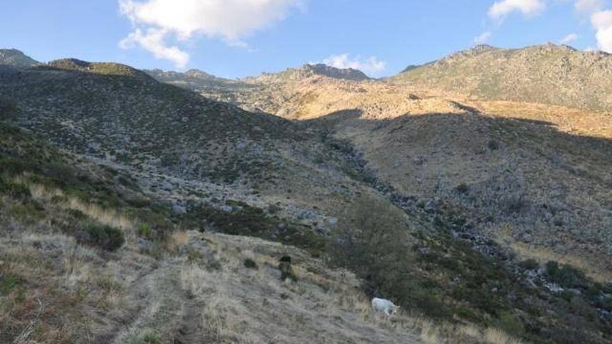 El Gobierno de Extremadura invertirá más de 572.000 euros en la Reserva Natural Garganta de los Infiernos