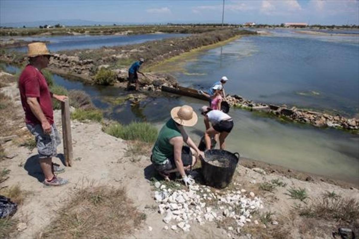 Acciones de voluntariado ambiental.