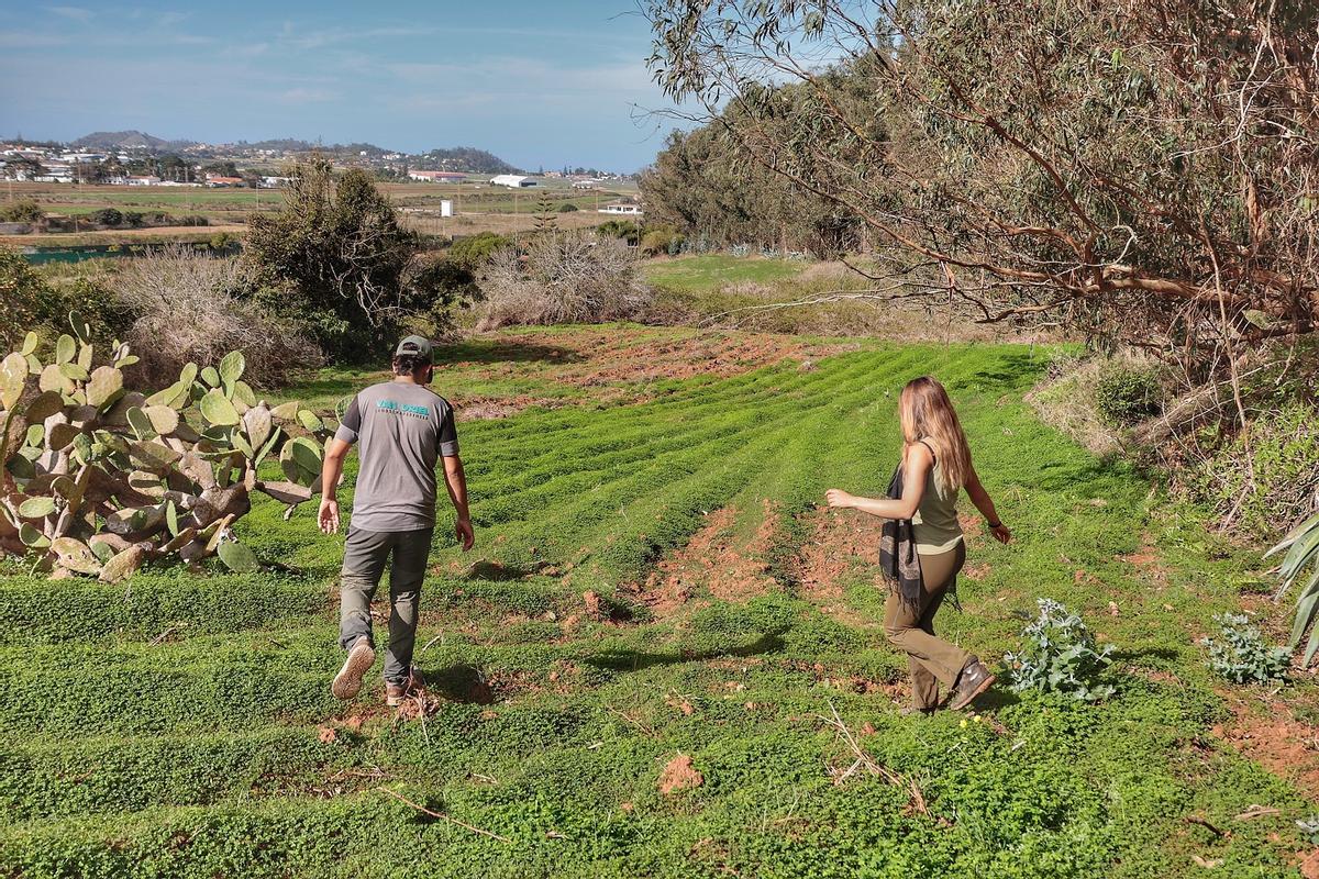 Dos jóvenes pisan el banco de tierras que van a poner en producción en La Laguna.