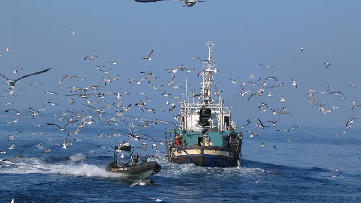 El Gobierno lanza ayudas urgentes para pescadores por el fin del acuerdo con Marruecos