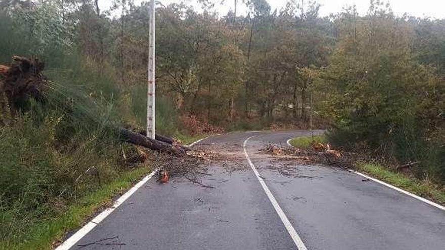 La carretera entre Coaxe y la iglesia de Dimo, en Catoira. // P. C. Catoira