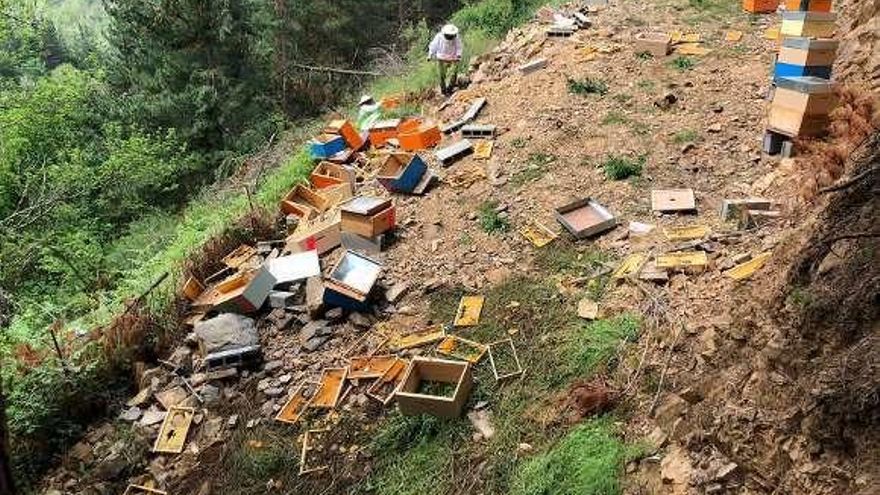 Un apicultor cangués ha perdido 37 colmenas este mes por ataques del oso