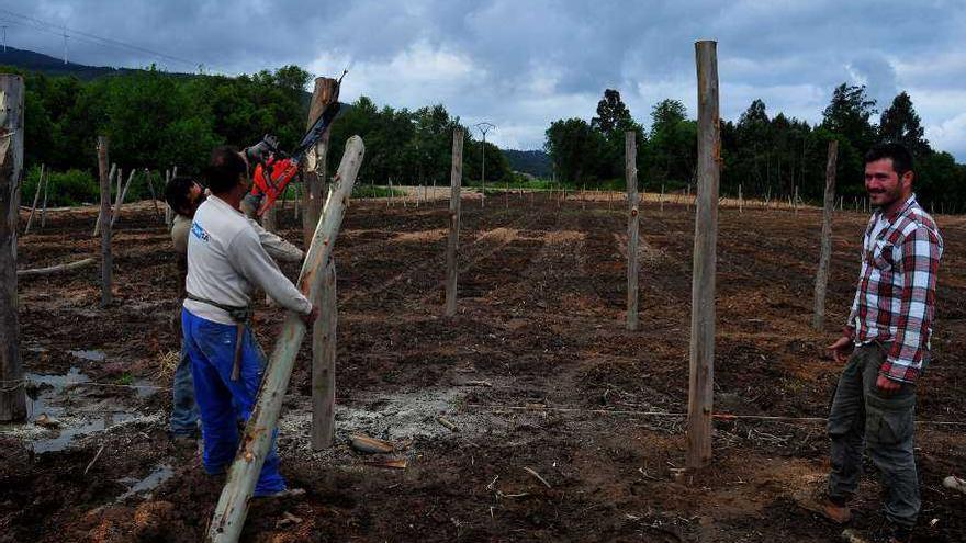 Juan Carlos Mascato supervisa las labores que se están realizando en los terrenos de Saiar.  // I. Abella