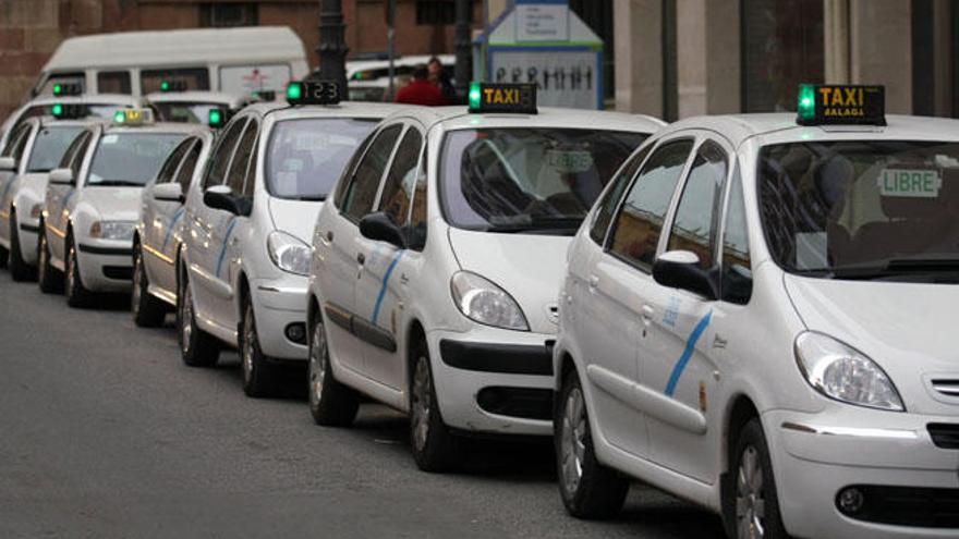 Los taxistas malagueños, en pie de guerra contra el edil de Movilidad.