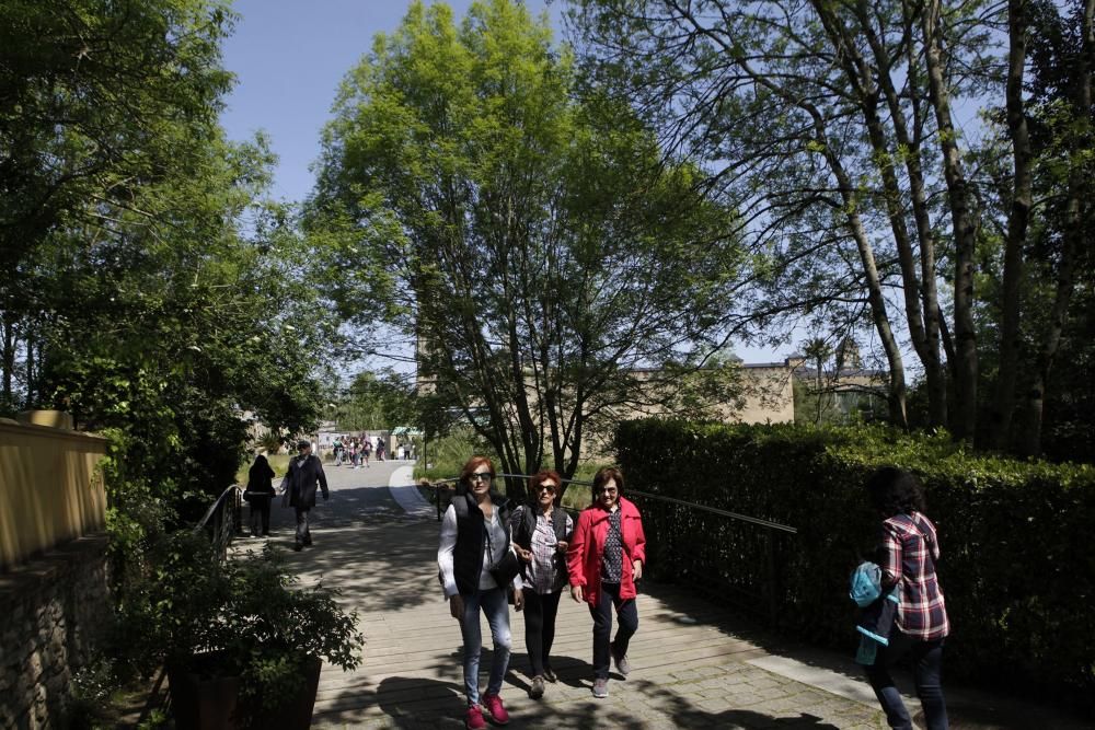 El Botánico celebra su 15 cumpleaños