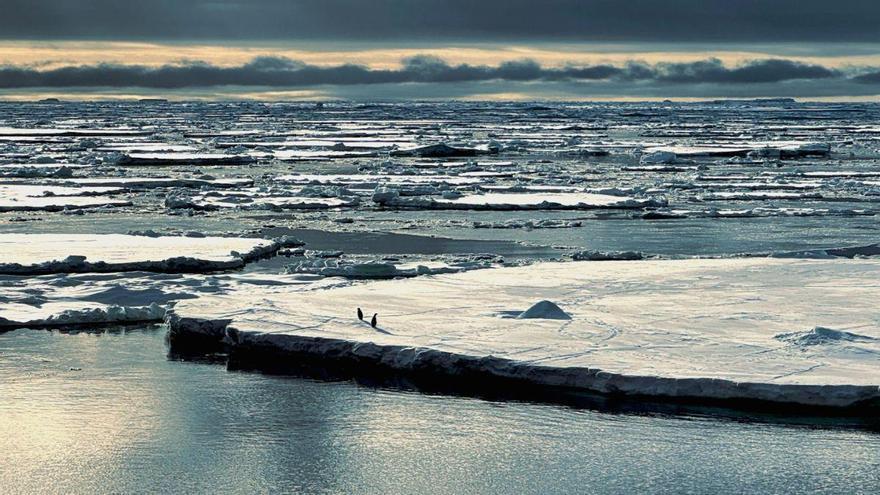 El hielo marino de la Antártida colapsó por un triple golpe de caos climático