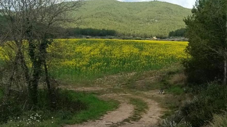 Una plataforma veïnal de Súria i Callús vol aturar la planta de biogàs que es projecta a Sant Mateu