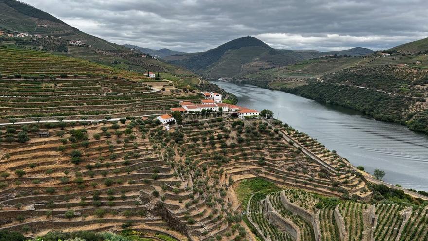 Parte de los viñedos de Kopke Group a orillas del Douro. | L. G.